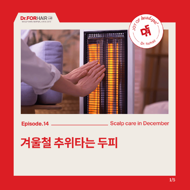 추운 겨울 건강한 두피 관리방법